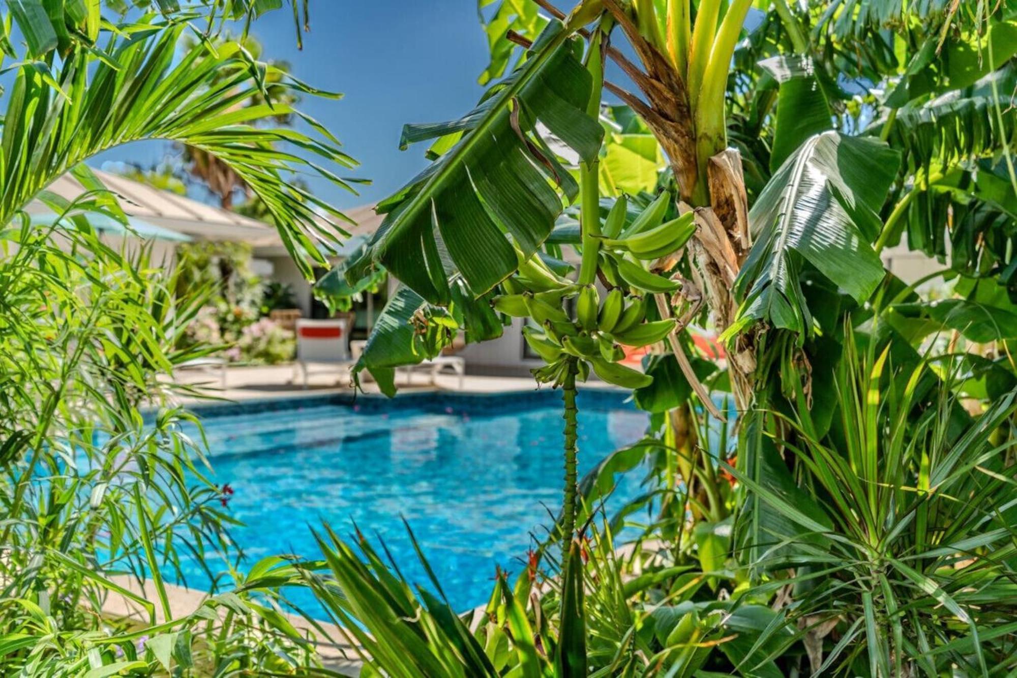 Royal Villa With A Huge Swimming Pool Cowell Battery Esterno foto