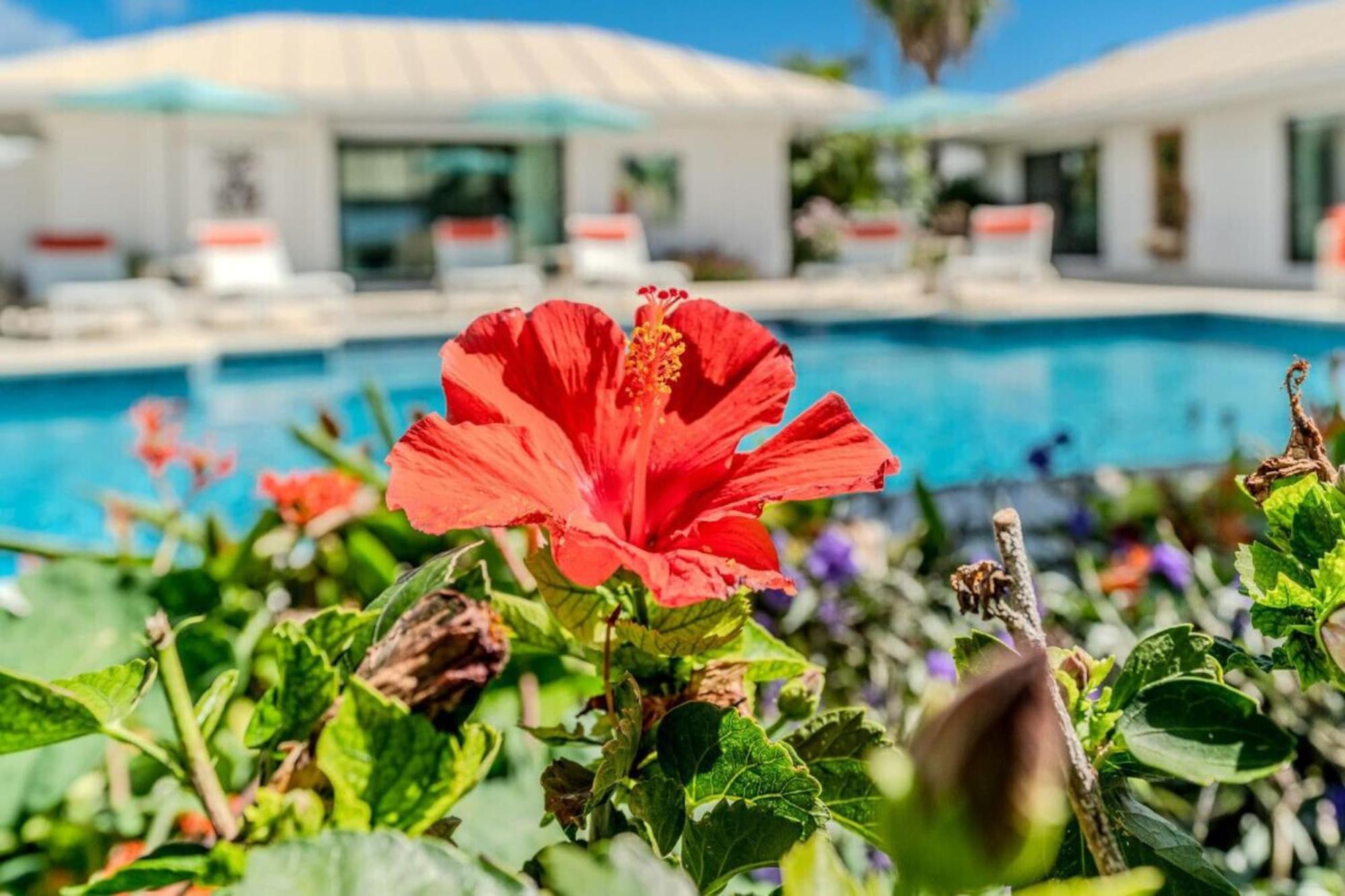 Royal Villa With A Huge Swimming Pool Cowell Battery Esterno foto